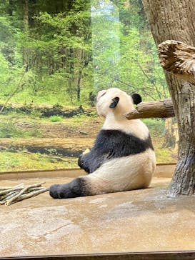 恩賜上野動物園に投稿された画像（2026/1/14）