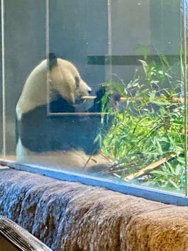 恩賜上野動物園に投稿された画像（2026/1/14）