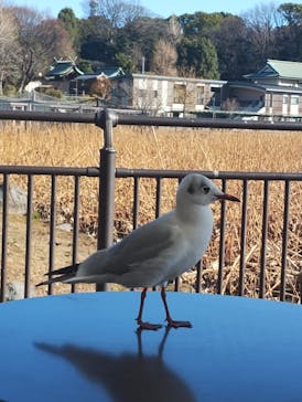 恩賜上野動物園に投稿された画像（2026/1/14）