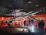特別展「大絶滅展―生命史のビッグファイブ」に投稿された画像（2026/1/14）
