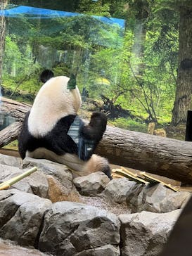 恩賜上野動物園に投稿された画像（2026/1/14）