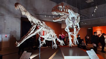 特別展「大絶滅展―生命史のビッグファイブ」に投稿された画像（2026/1/14）