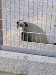 恩賜上野動物園に投稿された画像（2026/1/14）