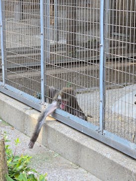 恩賜上野動物園に投稿された画像（2026/1/14）