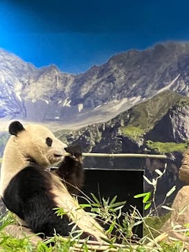 恩賜上野動物園に投稿された画像（2026/1/14）