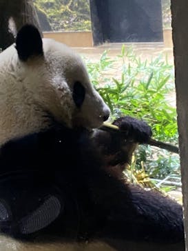 恩賜上野動物園に投稿された画像（2026/1/14）