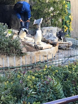 サンシャイン水族館に投稿された画像（2026/1/14）