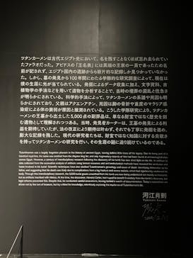 MYSTERY OF TUTANKHAMEN 体感型古代エジプト展に投稿された画像（2026/1/14）