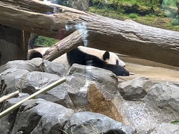 恩賜上野動物園に投稿された画像（2026/1/14）