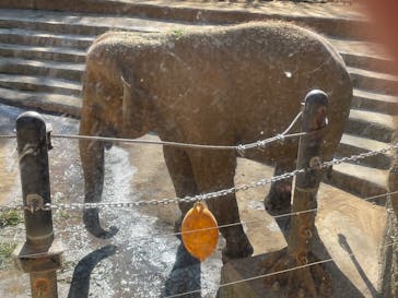 恩賜上野動物園に投稿された画像（2026/1/14）