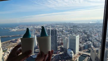 横浜ランドマークタワー 69階展望フロア スカイガーデンに投稿された画像（2026/1/14）