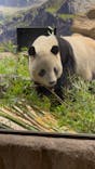 恩賜上野動物園に投稿された画像（2026/1/14）
