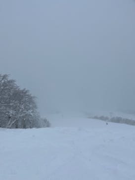 たざわ湖スキー場に投稿された画像（2026/1/14）