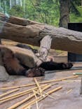 恩賜上野動物園に投稿された画像（2026/1/14）