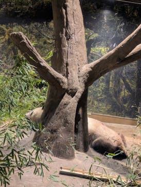 恩賜上野動物園に投稿された画像（2026/1/14）
