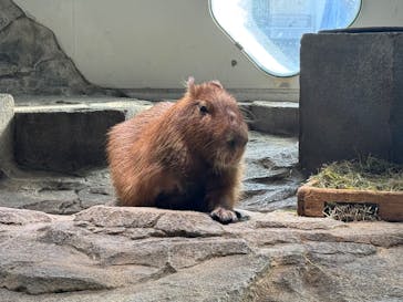 NIFREL（ニフレル）に投稿された画像（2026/1/14）