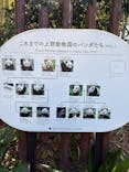恩賜上野動物園に投稿された画像（2026/1/14）