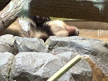 恩賜上野動物園に投稿された画像（2026/1/14）