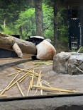 恩賜上野動物園に投稿された画像（2026/1/14）