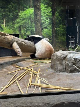 恩賜上野動物園に投稿された画像（2026/1/14）