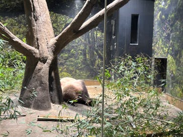 恩賜上野動物園に投稿された画像（2026/1/14）