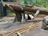 恩賜上野動物園に投稿された画像（2026/1/14）
