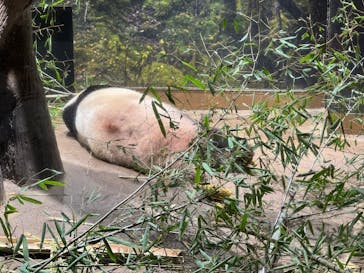 恩賜上野動物園に投稿された画像（2026/1/14）
