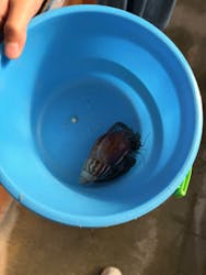 釣って見つけるぼうけんの国 沖縄に投稿された画像（2026/1/14）