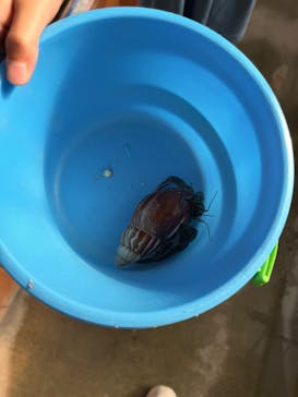 釣って見つけるぼうけんの国 沖縄に投稿された画像（2026/1/14）