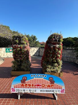 おきなわワールドに投稿された画像（2026/1/14）