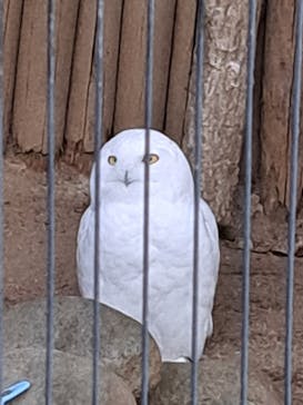 恩賜上野動物園に投稿された画像（2026/1/14）