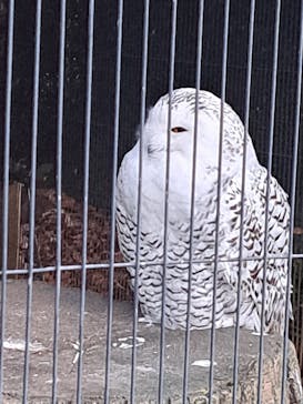 恩賜上野動物園に投稿された画像（2026/1/14）