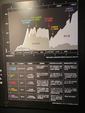 特別展「大絶滅展―生命史のビッグファイブ」に投稿された画像（2026/1/14）
