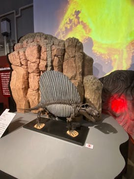 特別展「大絶滅展―生命史のビッグファイブ」に投稿された画像（2026/1/14）