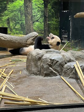 恩賜上野動物園に投稿された画像（2026/1/14）