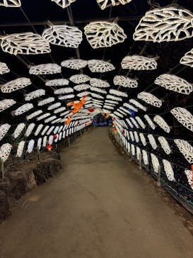 伊豆高原グランイルミに投稿された画像（2026/1/14）