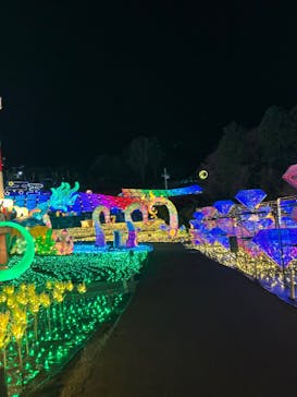 伊豆高原グランイルミに投稿された画像（2026/1/14）