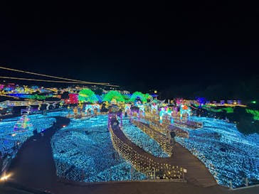 伊豆高原グランイルミに投稿された画像（2026/1/14）