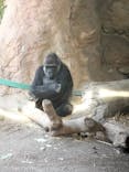 恩賜上野動物園に投稿された画像（2026/1/15）