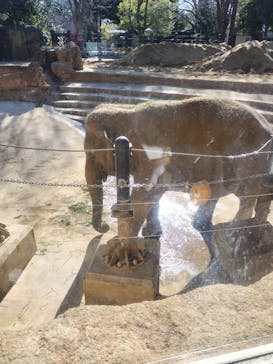 恩賜上野動物園に投稿された画像（2026/1/14）