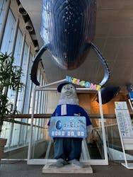 大分マリーンパレス水族館 「うみたまご」に投稿された画像（2026/1/14）