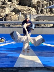 大分マリーンパレス水族館 「うみたまご」に投稿された画像（2026/1/14）