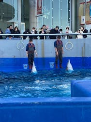 大分マリーンパレス水族館 「うみたまご」に投稿された画像（2026/1/14）