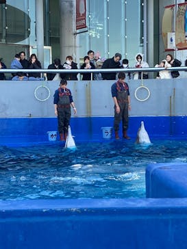 大分マリーンパレス水族館 「うみたまご」に投稿された画像（2026/1/14）