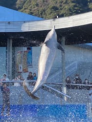 大分マリーンパレス水族館 「うみたまご」に投稿された画像（2026/1/14）
