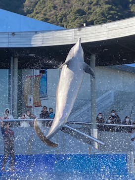 大分マリーンパレス水族館 「うみたまご」に投稿された画像（2026/1/14）