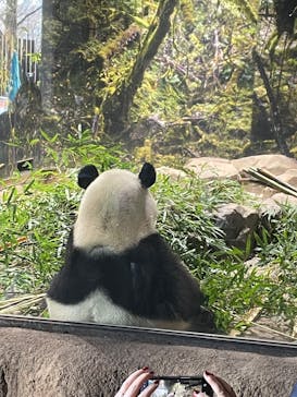 恩賜上野動物園に投稿された画像（2026/1/15）