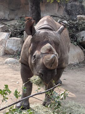 天王寺動物園に投稿された画像（2026/1/15）