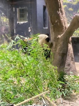 恩賜上野動物園に投稿された画像（2026/1/15）