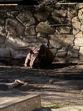 恩賜上野動物園に投稿された画像（2026/1/15）